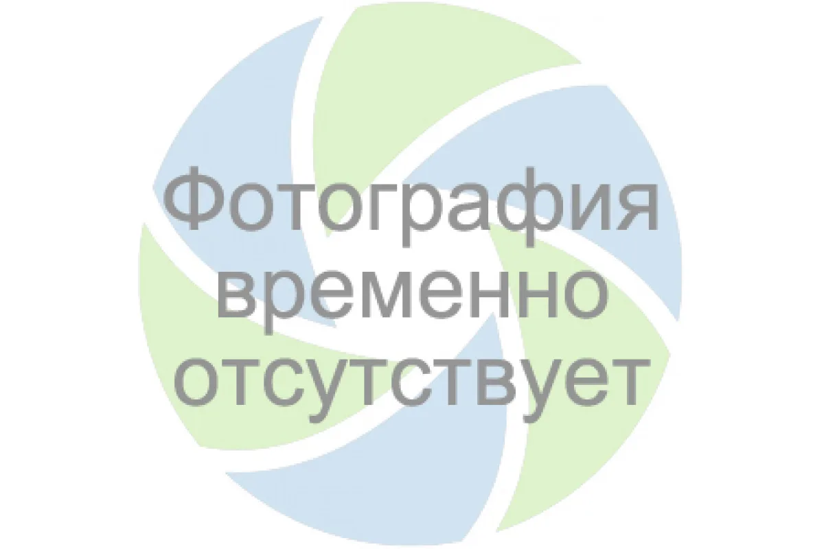 Пакет подарочный "Новогодний" в ассортименте 26*32 см./1 шт.